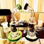 6'' Showerhead Bong Bend Neck